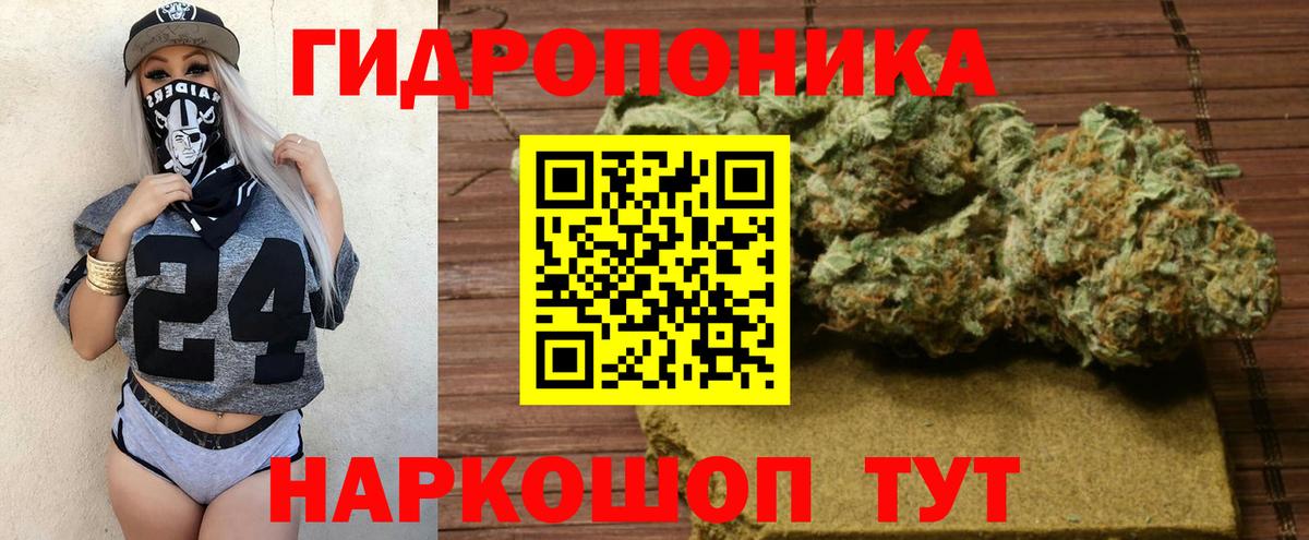 Бошки Шишки конопля Кимовск